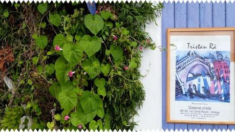 Carla bayle Carla bayle