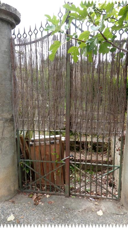 Carla bayle Carla bayle