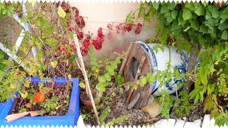 Carla bayle Carla bayle