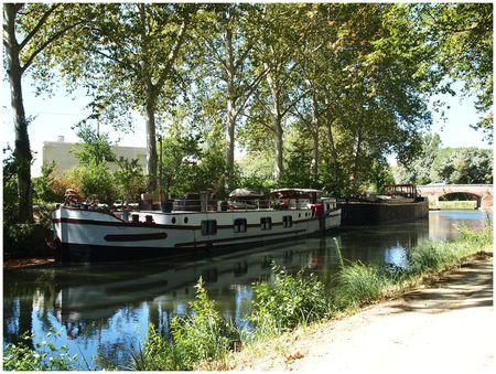 LE CANAL DU MIDI suite péniche blanche canal 2013