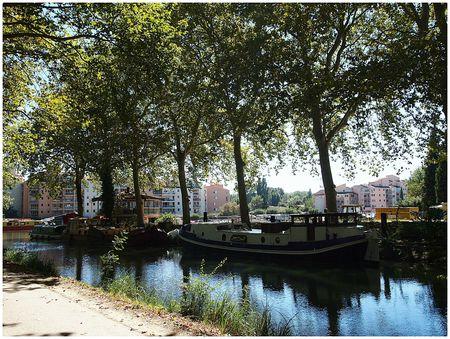 LE CANAL DU MIDI suite la capitainerie de port sud 2013