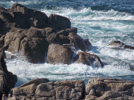 mon marronnier est en fleurs mon marronnier est en fleurs