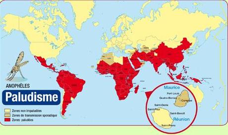 Journal des bonnes nouvelles : Un vaccin expérimental prometteur contre le paludisme carte_paludisme.jpg