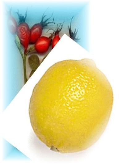 Tajine de poisson aux poivrons Tajine de poisson aux poivrons