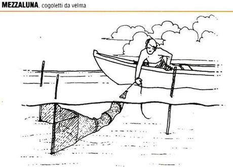 La mezzaluna Mezzaluna