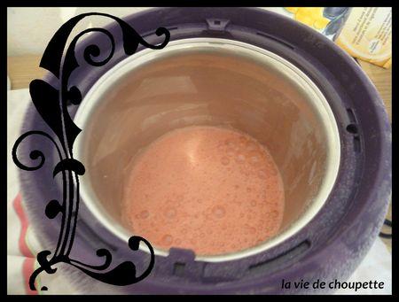 SORBET A LA PASTEQUE FACILE 2013-08-24 356