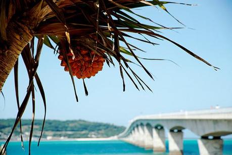 okinawa-japon okinawa-japon