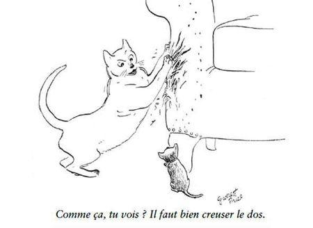 The New Yorker : L'humour des chats The New Yorker 3