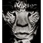 Elémentaire mon cher Albert Watson ! Elémentaire mon cher Albert Watson !