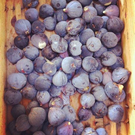 10 plaisirs de septembre IMG_1340