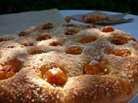 Brioche aux mirabelles... comme une focaccia P1140190_2