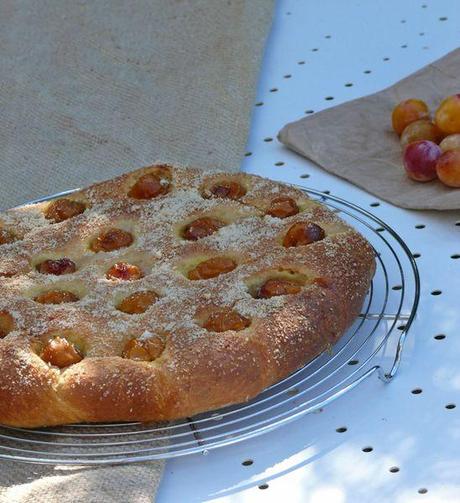 Brioche aux mirabelles... comme une focaccia P1140182_2