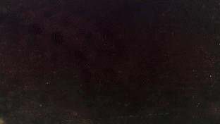 The Walking Dead Saison 2 The Walking Dead Saison 1 - 08