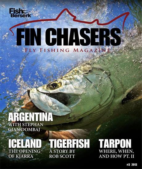 FIN CHASERS #3