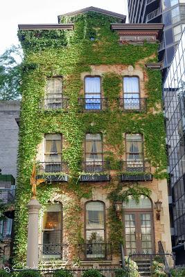 Un petit tour à Windy City !!! Un petit tour à Windy City !!!