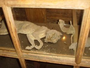 Un saut dans le temps : Visite de l’écomusée de Marquèze Un saut dans le temps : Visite de l’écomusée de Marquèze