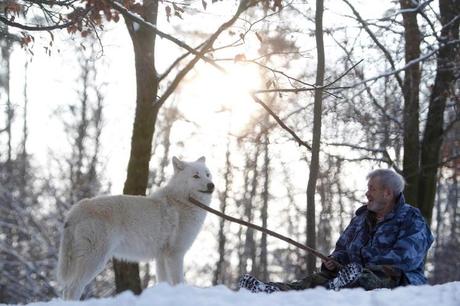 Le « Wolfspark Werner Freund » (© ©LISI NIESNER/Reuters)