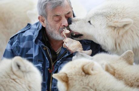 Le « Wolfspark Werner Freund » (© ©LISI NIESNER/Reuters)