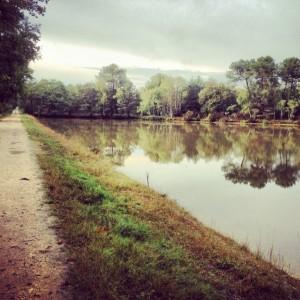 Un weekend pour se ressourcer aux pays des Bambis img_4149-300x300 loire