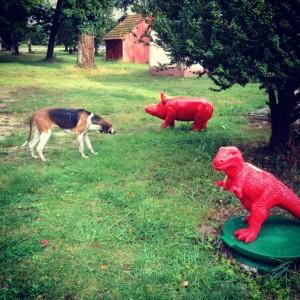 Un weekend pour se ressourcer aux pays des Bambis img_4147-300x300 gite