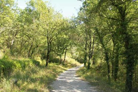 sentier-pont-cerise Sentier du Pont de la Cerise