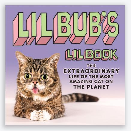 Le chat de l’espace qui avait capturé le coeur de l’espèce humaine lil_bub_book