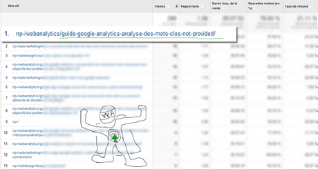 not-provided-google-analytics-rapport-mots-cles-avec--filtre-optimisation-conversion