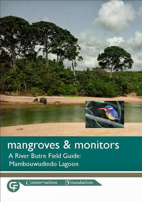 Ghana Butre mangrove need a help by Conservation Foundation