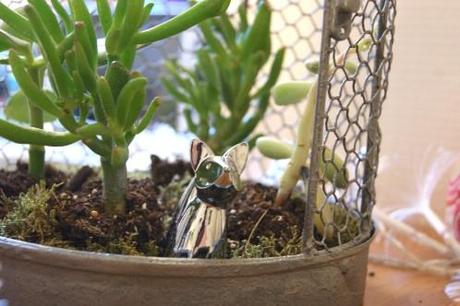 Mon tout petit mini jardin d'Hiver DSC06959.JPG