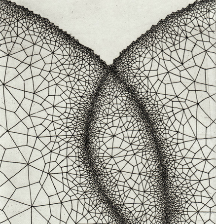 Clint-fulkerson Clint-fulkerson