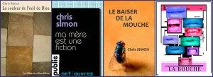 Séance 5, la série psy fait son chemin Mes ebooks sur Amazon