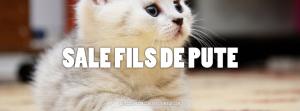 Sites inutiles #2 : Dites le avec des chatons ! comment tu le sais?