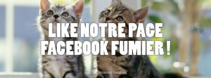 Sites inutiles #2 : Dites le avec des chatons ! allez viens procrastiner !