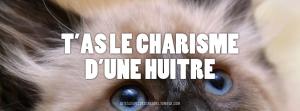 Sites inutiles #2 : Dites le avec des chatons ! même pas vrai !