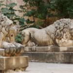 Les lions du musée de l'armurerie