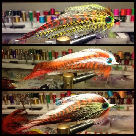 IMG_15810_fotor IMG_15810_fotor