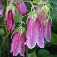 Me revoilà ... Je voudrai tout d'abord vous remercier pou... Me revoilà ... Je voudrai tout d'abord vous remercier pou...