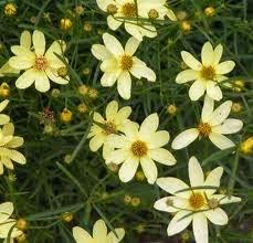 Me revoilà ... Je voudrai tout d'abord vous remercier pou... Me revoilà ... Je voudrai tout d'abord vous remercier pou...