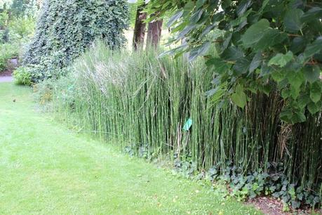 nantes,jardin des plantes,claude ponti,voyage à nantes