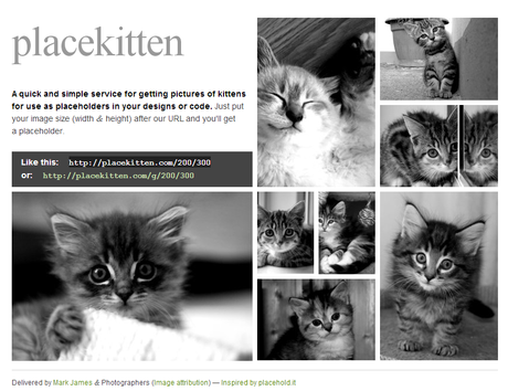 PlaceKitten - Utilisez des chats pour meubler votre design