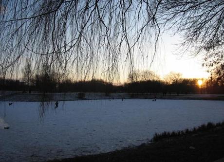 lithuania_nature_photo_juokas