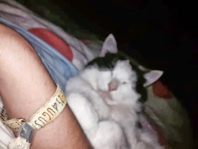 10 moments de célibataire 10 moments de célibataire