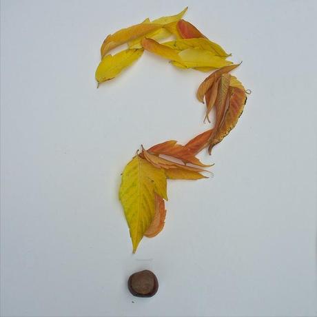 Mais à qui le tour ??? anteketborka.blogspot.com, ???