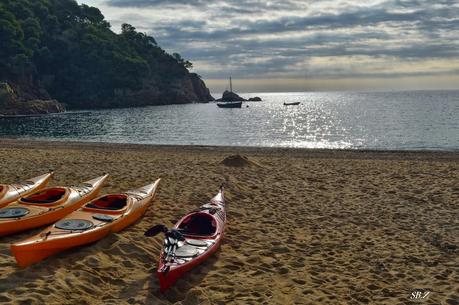 Envie de Catalogne! Envie de Catalogne!