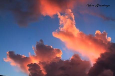 Mon Ciel à l'instantané ciel-et-nature-3838.JPG