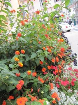 Bellegarde - Ain En-ville-le-29.09.2013-0309.JPG