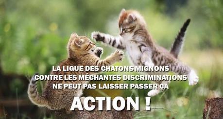 Discrimination, MRAP et autres niaiseries : on ne peut pas être sérieux tous les jours ligue des chatons mignons action