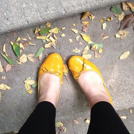 yellow Ma semaine en mots et photos instagram (101) (grosse boite de biscuits delacre à gagner!!)