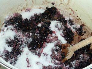 Gelée de baies de sureau noir P1140456