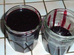 Gelée de baies de sureau noir P1140464